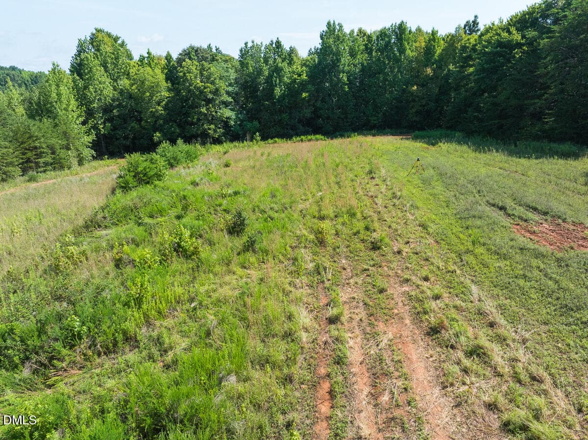 Caswell Co. NC 49.36-COA-Lot3-039 - 0 Park Springs Road, Ruffin, NC 27326