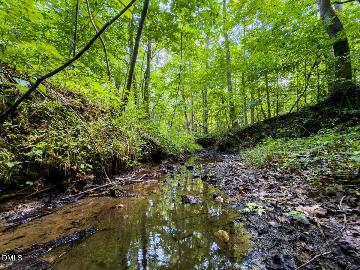 Caswell Co. NC 49.36-COA-Lot3-041 - 0 Park Springs Road, Ruffin, NC 27326