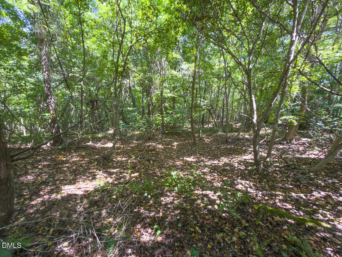 Caswell Co. NC 49.36-COA-Lot3-043 - 0 Park Springs Road, Ruffin, NC 27326