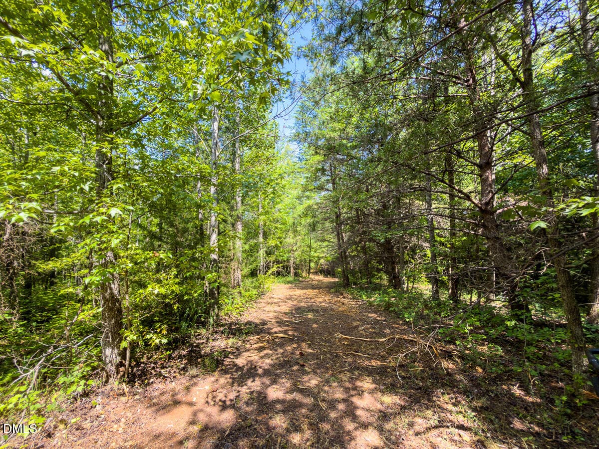 Caswell Co. NC 49.36-COA-Lot3-044 - 0 Park Springs Road, Ruffin, NC 27326