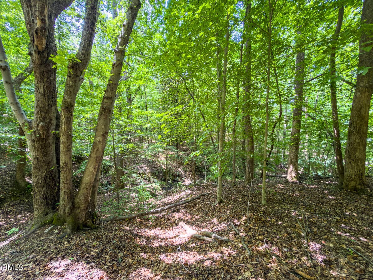 Caswell Co. NC 14.66-COA-Lot4-05 - 0 Park Springs Road, Ruffin, NC 27326