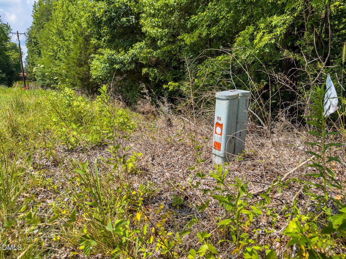 Caswell Co. NC 14.66-COA-Lot4-08 - 0 Park Springs Road, Ruffin, NC 27326