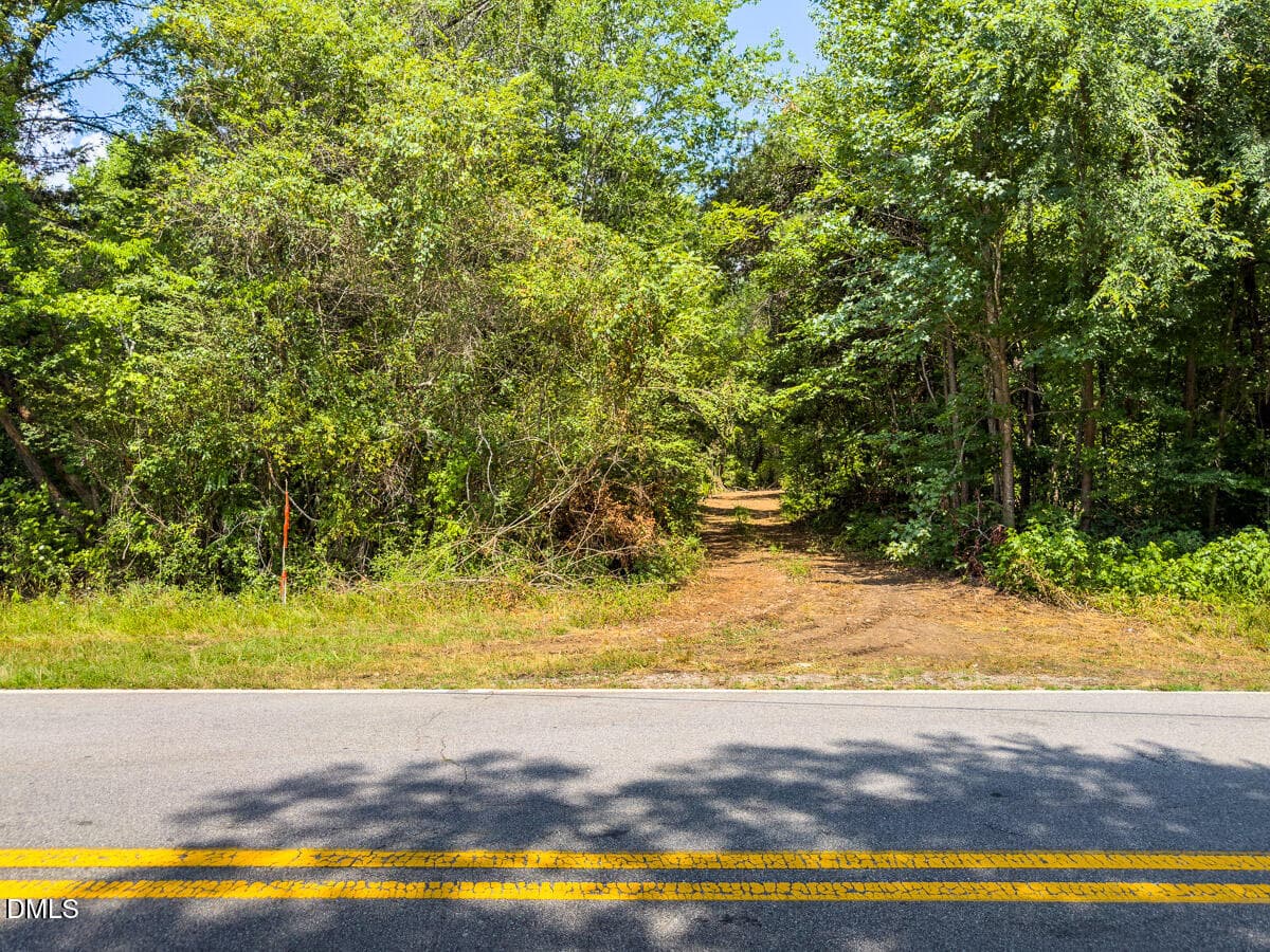 Caswell Co. NC 14.66-COA-Lot4-12 - 0 Park Springs Road, Ruffin, NC 27326