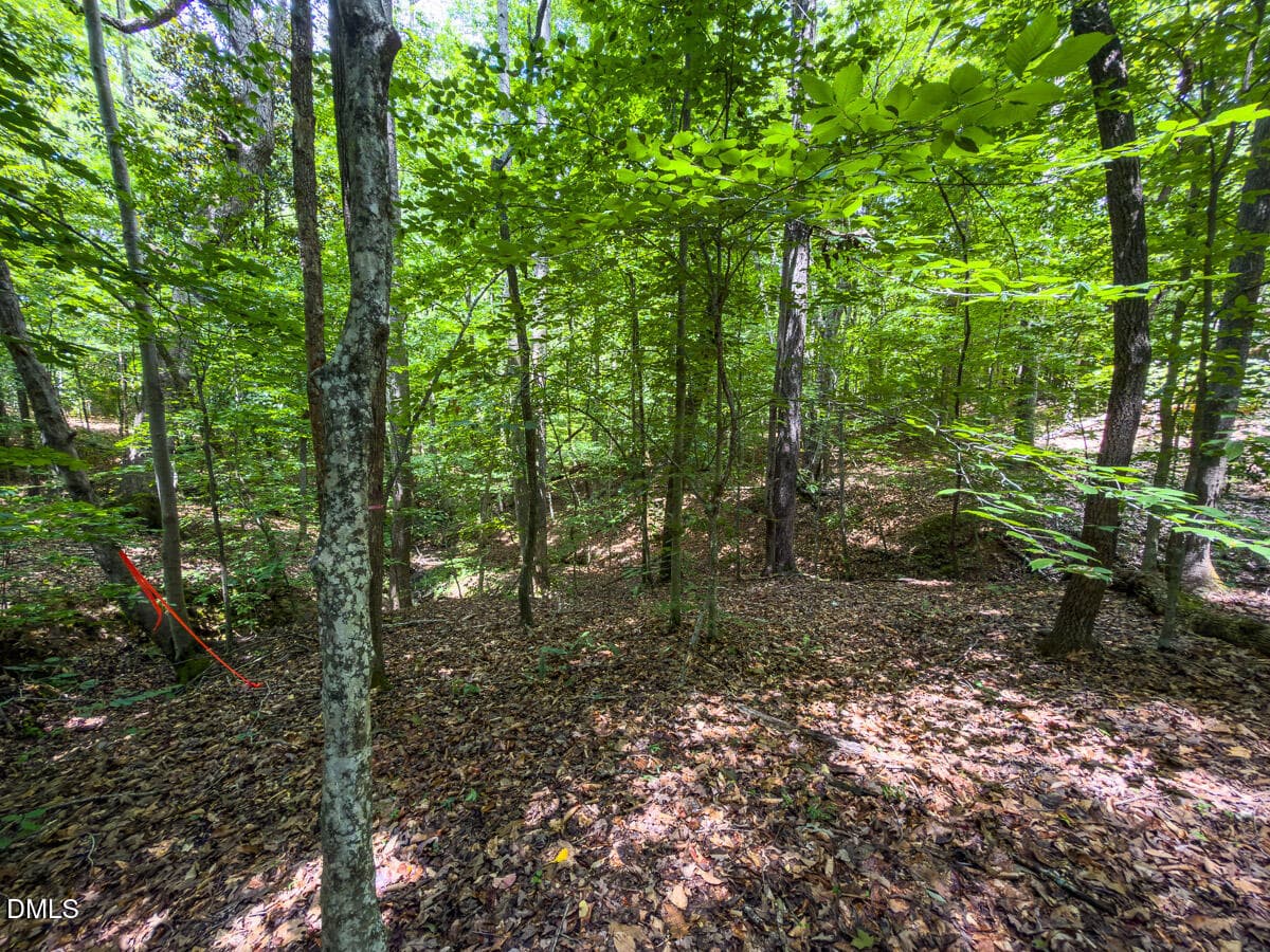 Caswell Co. NC 14.66-COA-Lot4-13 - 0 Park Springs Road, Ruffin, NC 27326