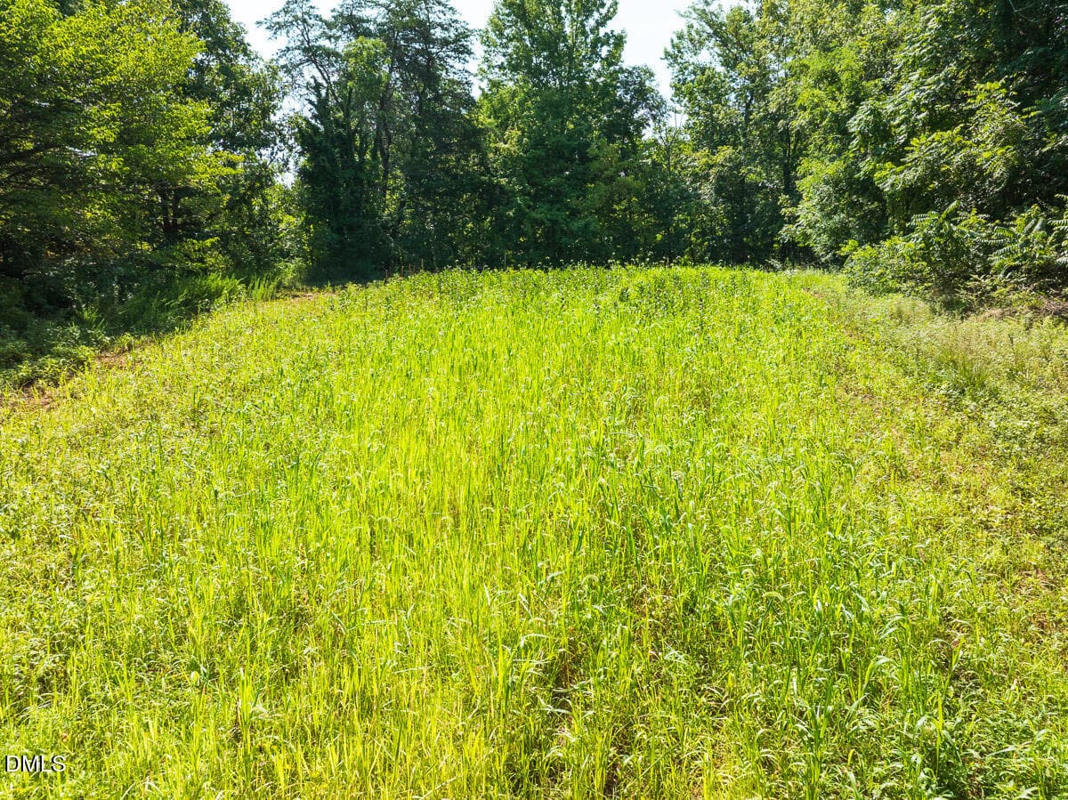 Caswell Co. NC 14.66-COA-Lot4-22 - 0 Park Springs Road, Ruffin, NC 27326