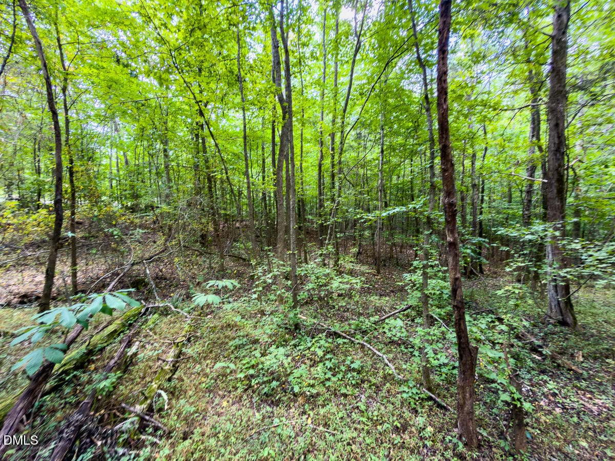 Caswell Co. NC 14.66-COA-Lot4-30 - 0 Park Springs Road, Ruffin, NC 27326
