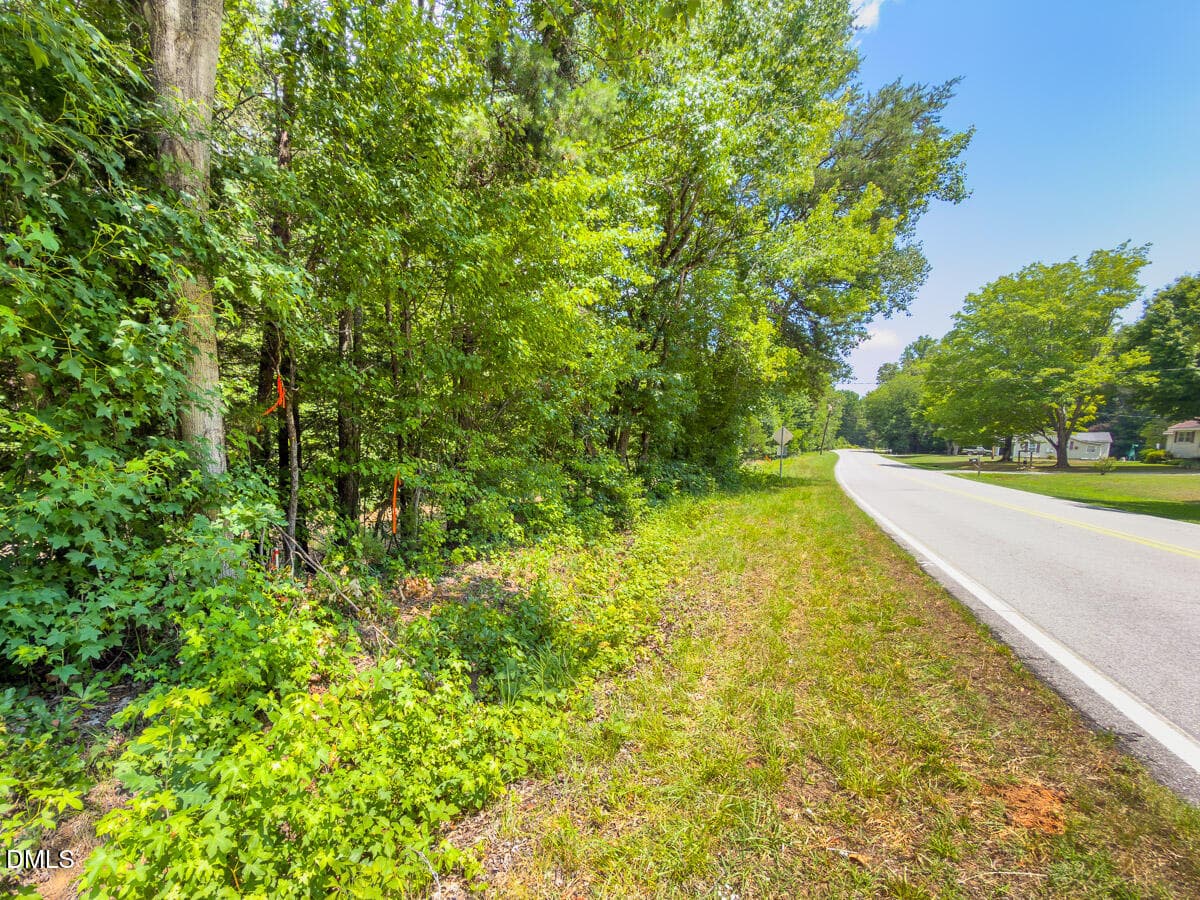 Caswell Co. NC 14.66-COA-Lot4-39 - 0 Park Springs Road, Ruffin, NC 27326
