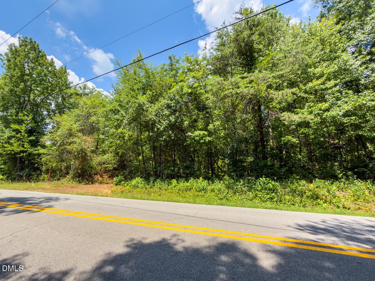 Caswell Co. NC 14.66-COA-Lot4-41 - 0 Park Springs Road, Ruffin, NC 27326