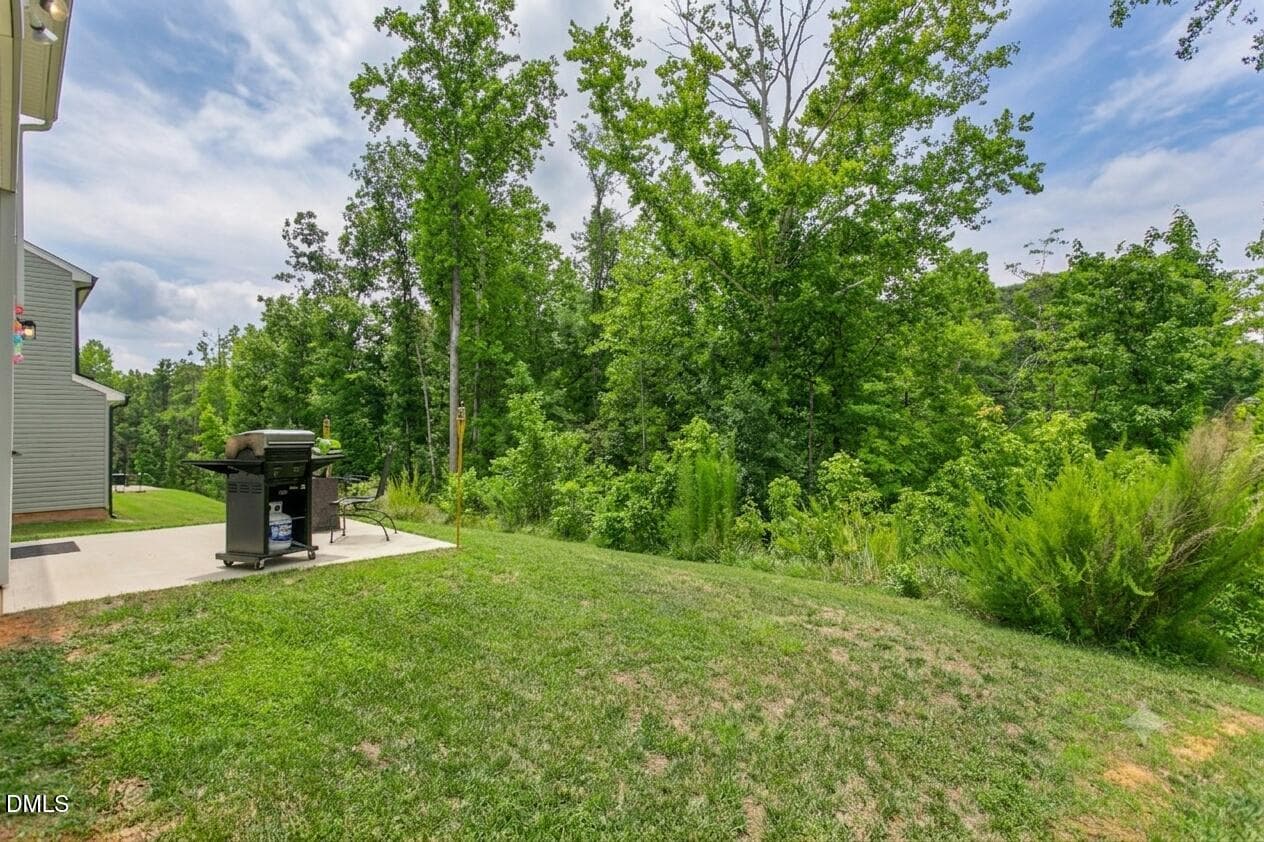 Great Backyard - 1722 Langlais Drive, Graham, NC 27253