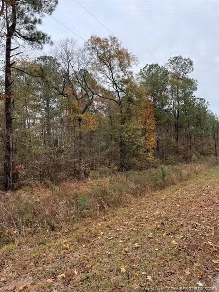Photo 3 - Porcelain Lane, Maxton, NC 28364