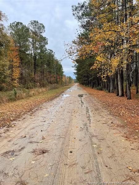 Photo 2 - Porcelain Lane, Maxton, NC 28364