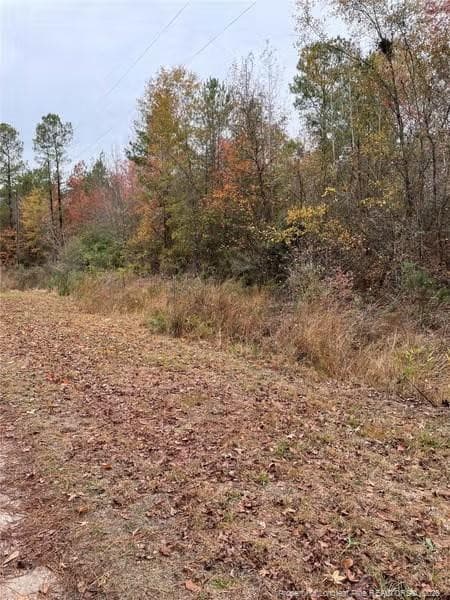 Photo 4 - Porcelain Lane, Maxton, NC 28364