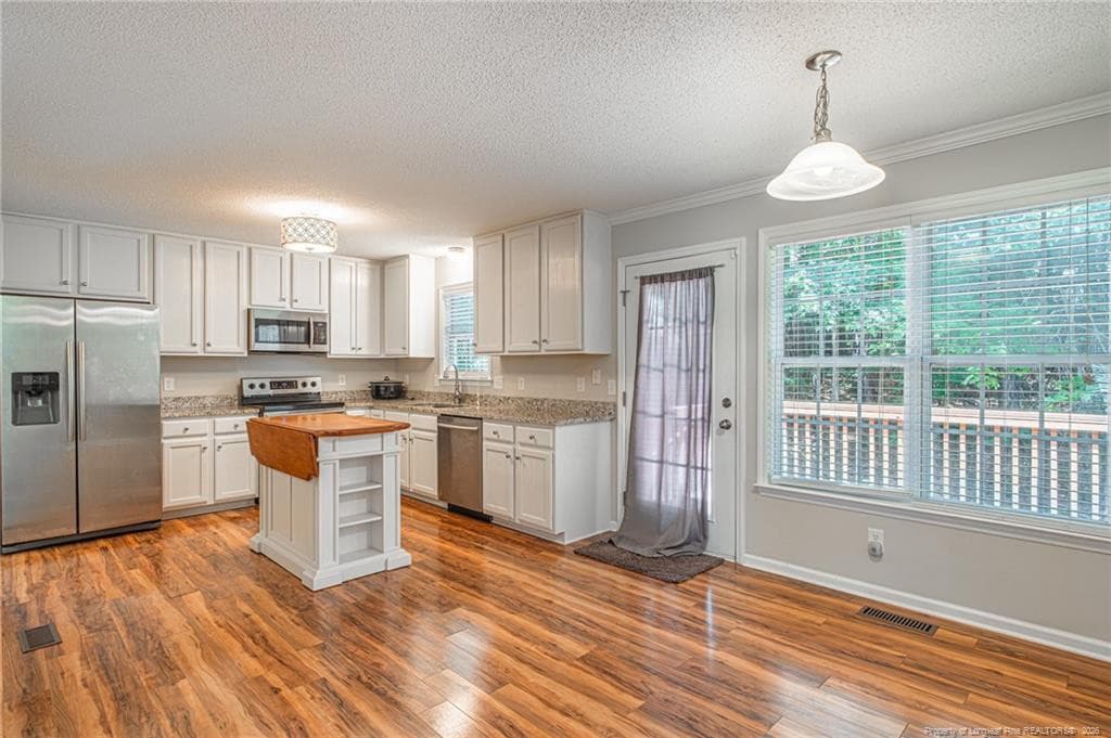 Open kitchen - 92 Dove Pointe Lane, Clayton, NC 27520
