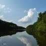 Cape feear River - 279 Galway Road, Lillington, NC 27546