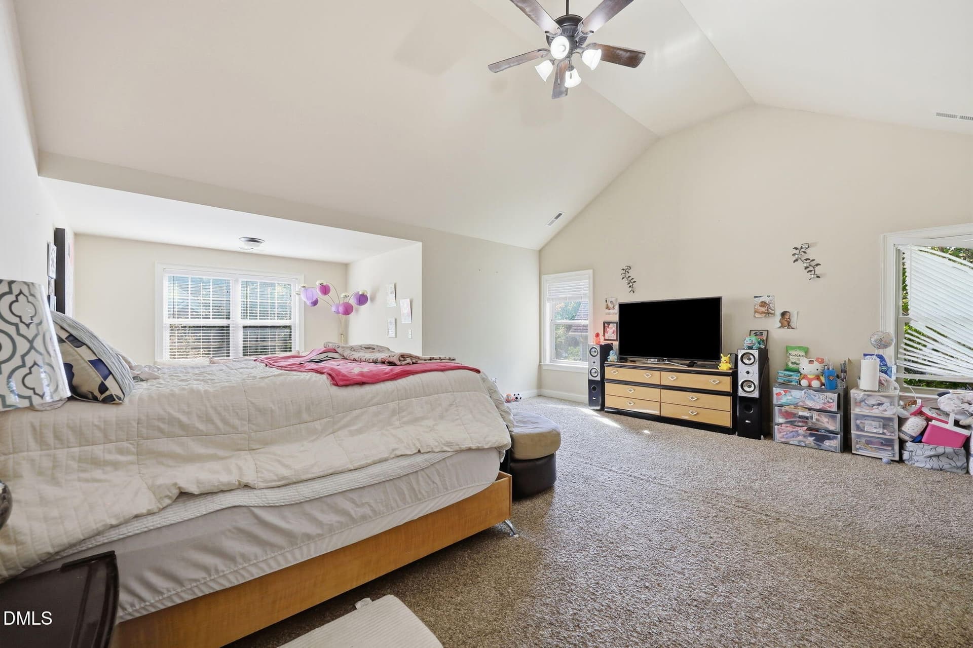 38-web-or-mls-IMG_7081 - 1105 Longleaf Pine Place, Mebane, NC 27302