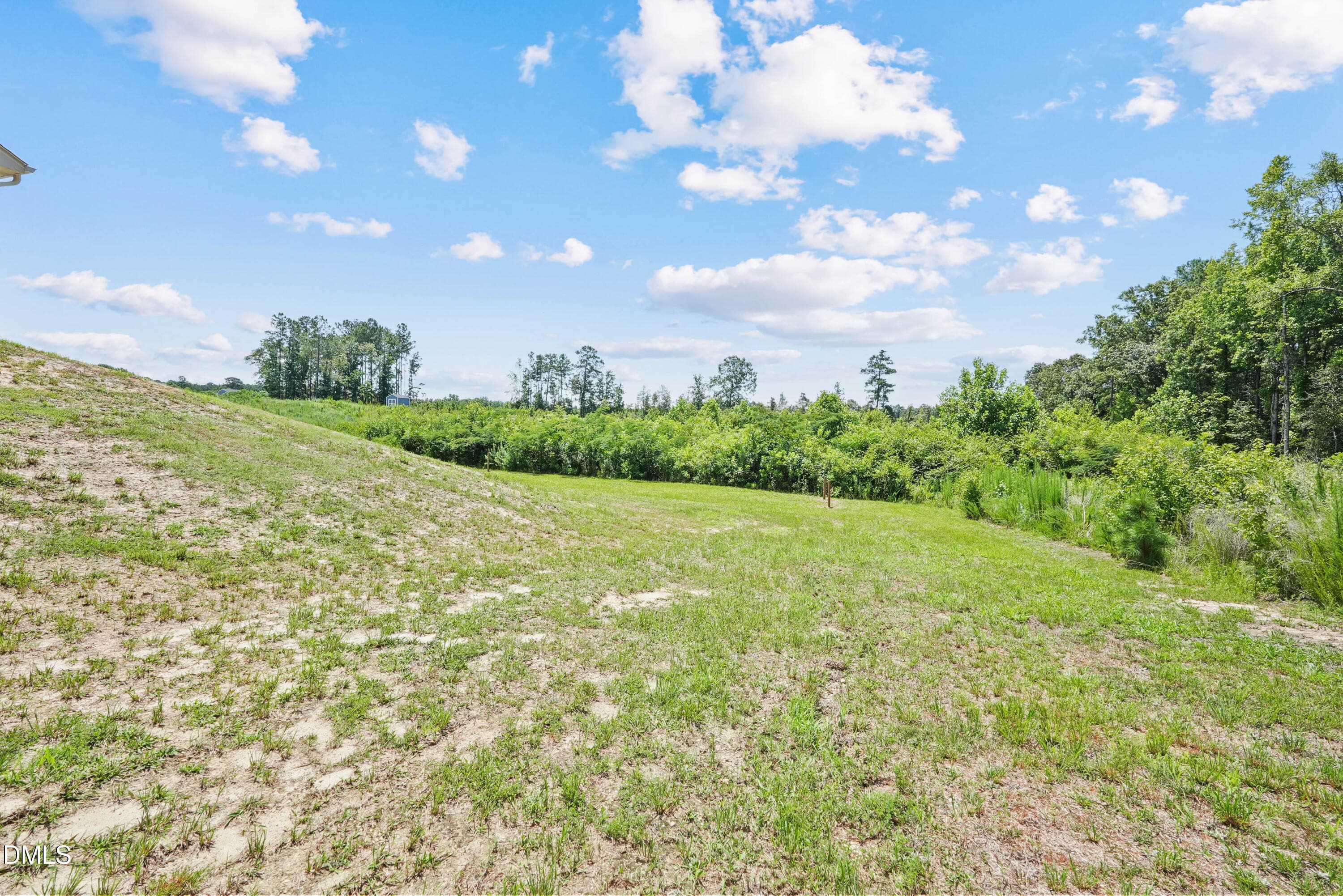 done123bristow-6 - 123 Bristow Court, Four Oaks, NC 27524
