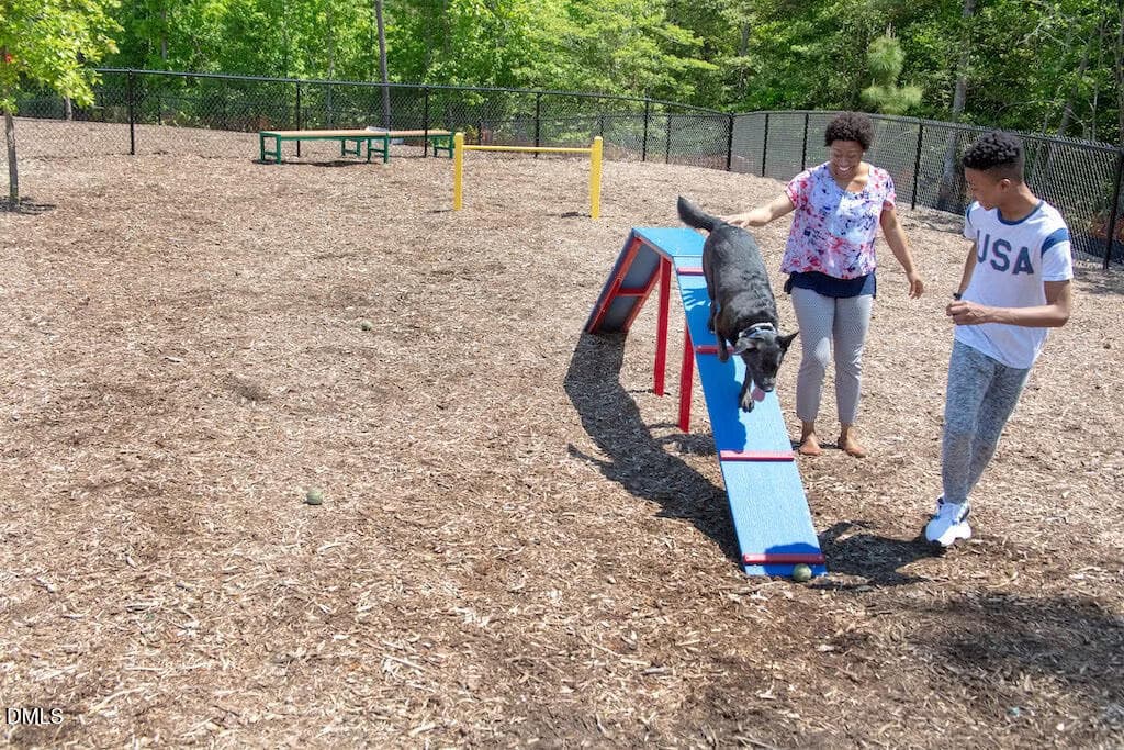 Dog park - 6028 Kayton Street, Raleigh, NC 27616, Raleigh