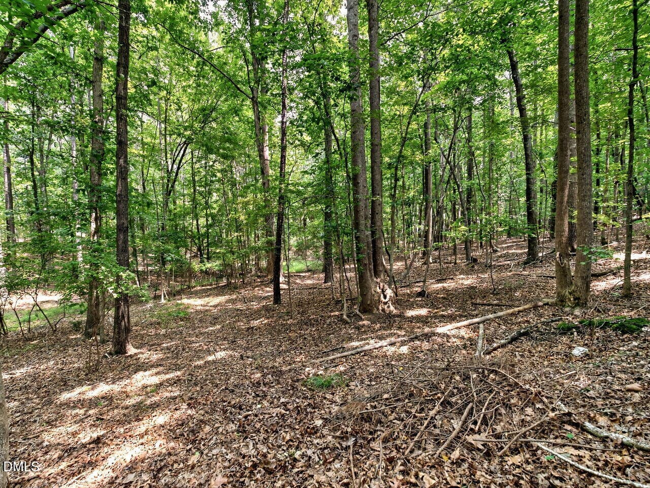 031-1280x960-wooded-back-yard - 1514 Anterra Drive, Wake Forest, NC 27587