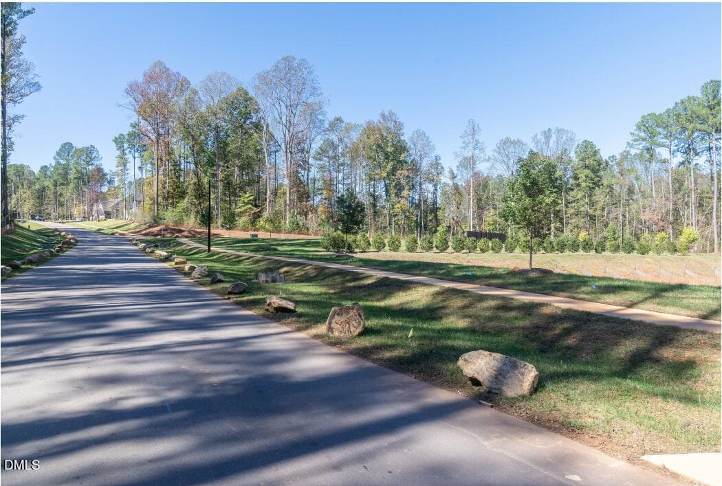 Entrance - 71 Caz Trace, Pittsboro, NC 27312