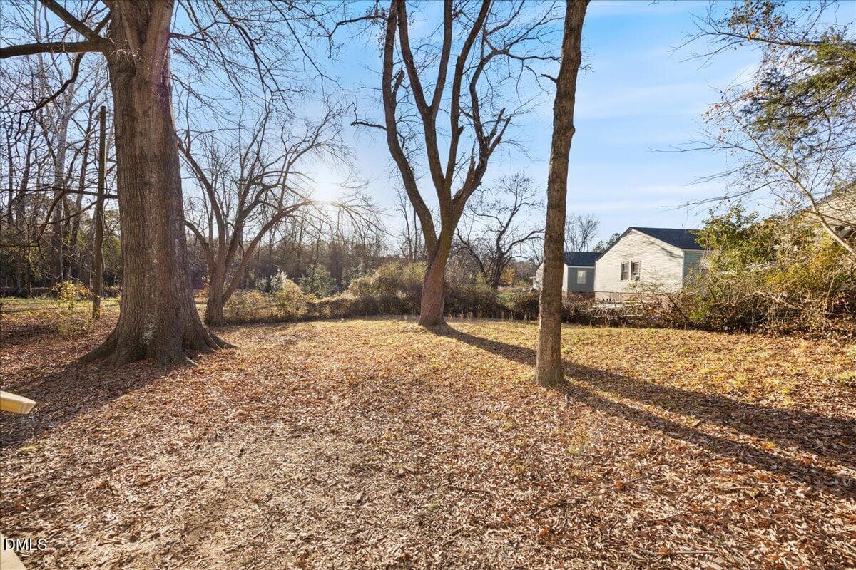 Copy of 29-2A1A9097 (1) - 2115 Glendale Avenue, Durham, NC 27704, Durham