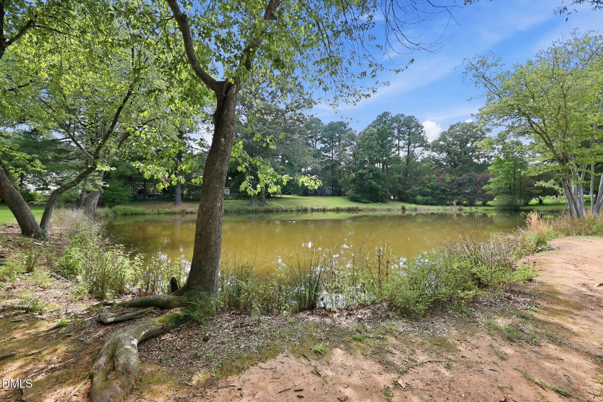 52-web-or-mls-IMG_5567 - 102 Lattimore Lane, Durham, NC 27713, Durham