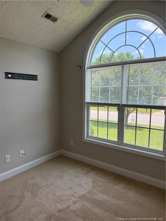 Photo 19 - 264 Himalaya Drive, Raeford, NC 28376