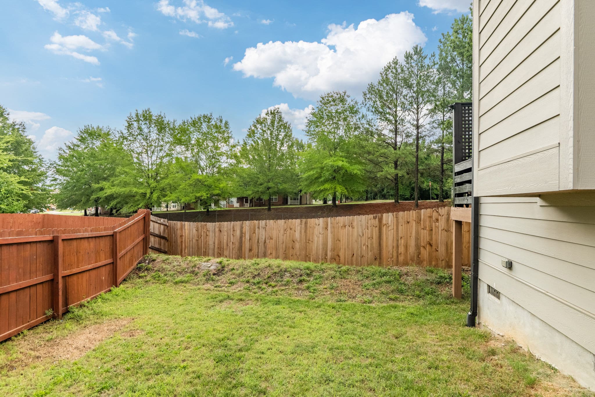 50-DSC_6702-HDR.jpg - 931 Ramseur Street, Durham, NC 27701, Durham