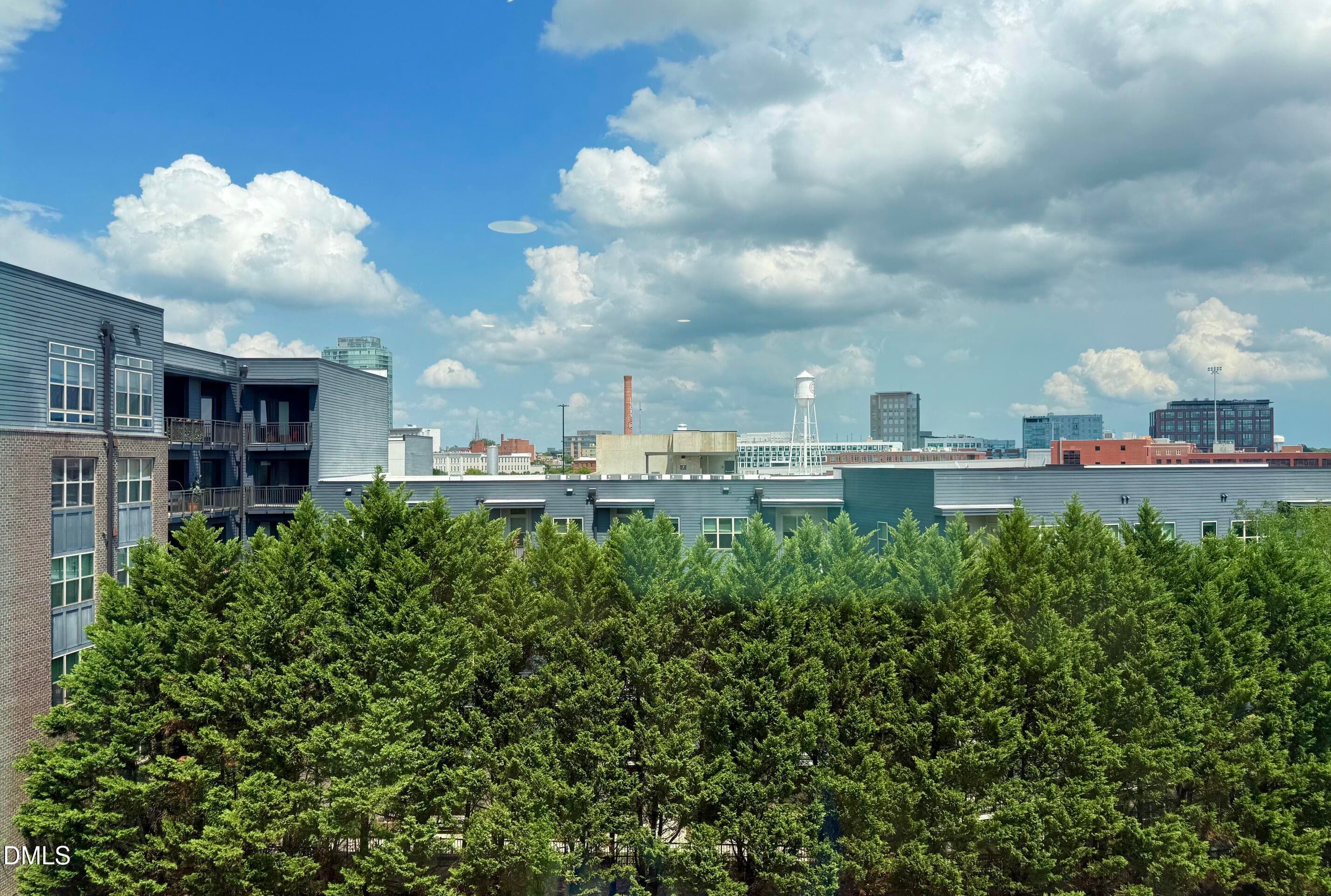 View from living room - 600 S Duke Street, Durham, NC 27701, Durham