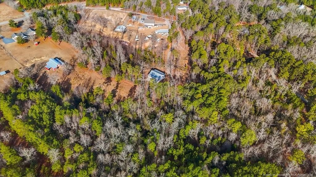 Photo 8 - 546 Rubicon Road, West End, NC 27376