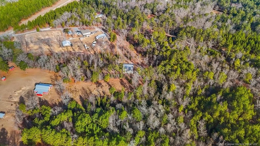 Photo 9 - 546 Rubicon Road, West End, NC 27376