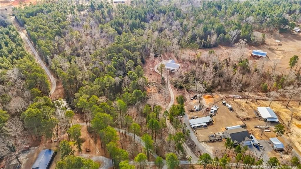 Photo 10 - 546 Rubicon Road, West End, NC 27376