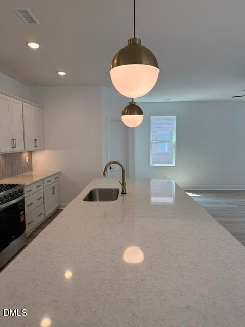 Massive Island - 86 Carteret Court, Clayton, NC 27527