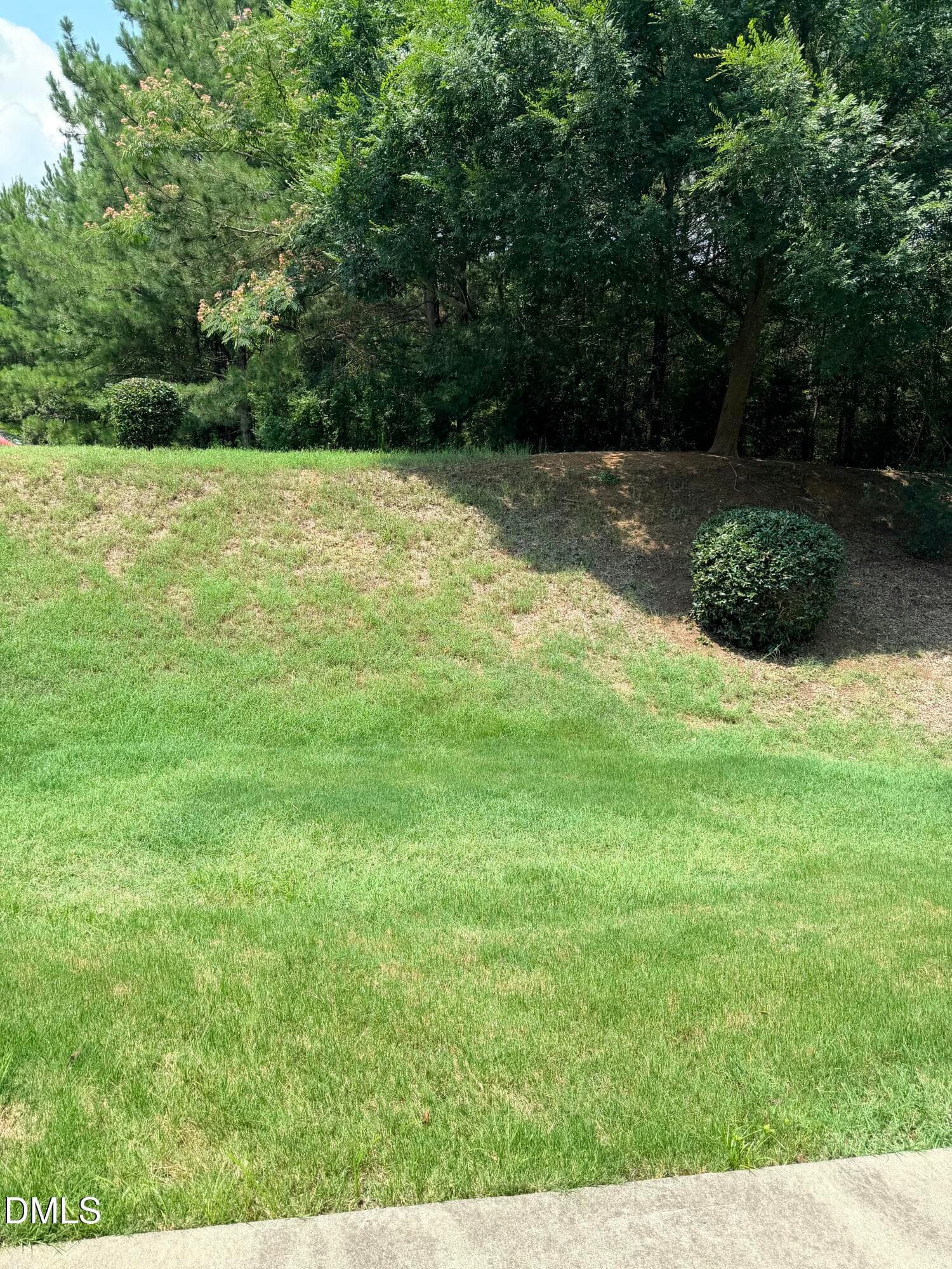 Backyard View of Middletown - 4505 Middletown Drive, Wake Forest, NC 27587