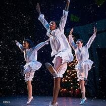 9. Carolina Performing Arts Center - 1103 Zelkova Lane, Chapel Hill, NC 27517, Chapel Hill