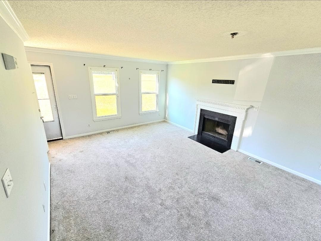 Photo #3 - 250 Pope Lake Road, Angier, NC 27501