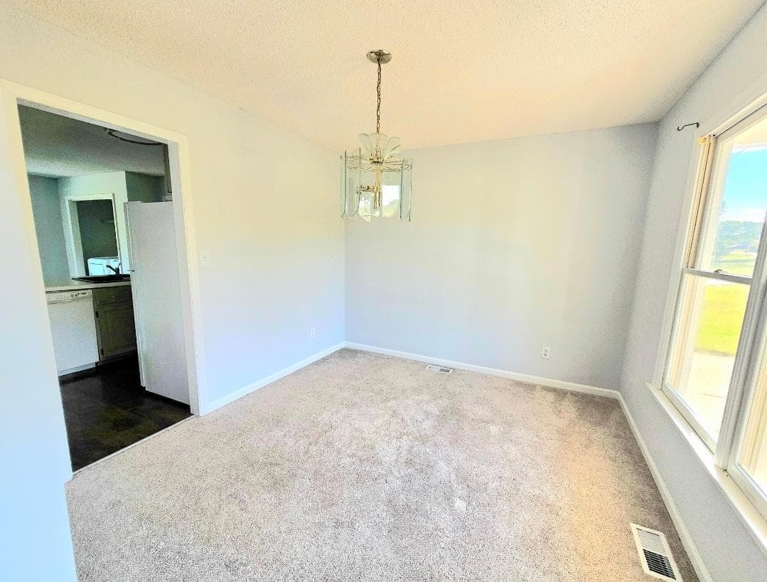 Photo #4 - 250 Pope Lake Road, Angier, NC 27501