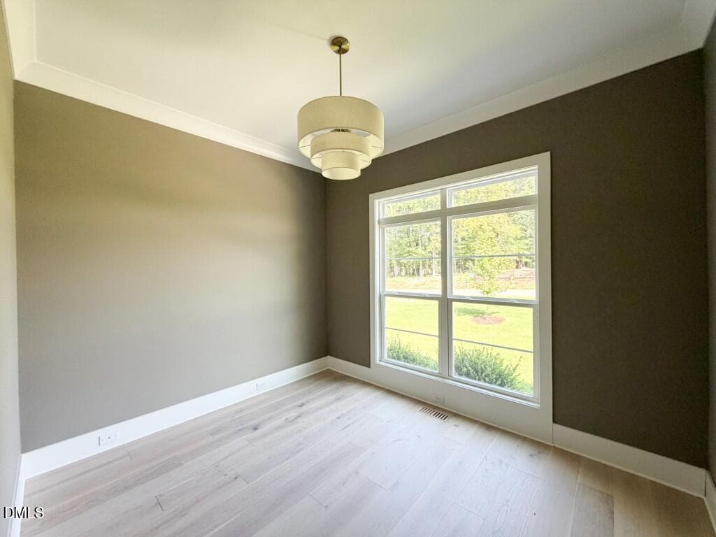 Photo Jul 15 2026, 10 56 45 AM-2 (Medium - 317 Black Caviar Way, Raleigh, NC 27603, Raleigh
