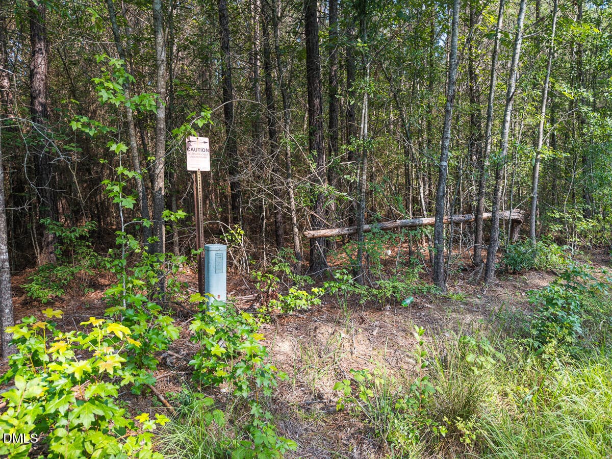 Durham Co. NC 10.09-Rogers-Lot1-07 - 00 Cassam Road, Bahama, NC 27503, Bahama