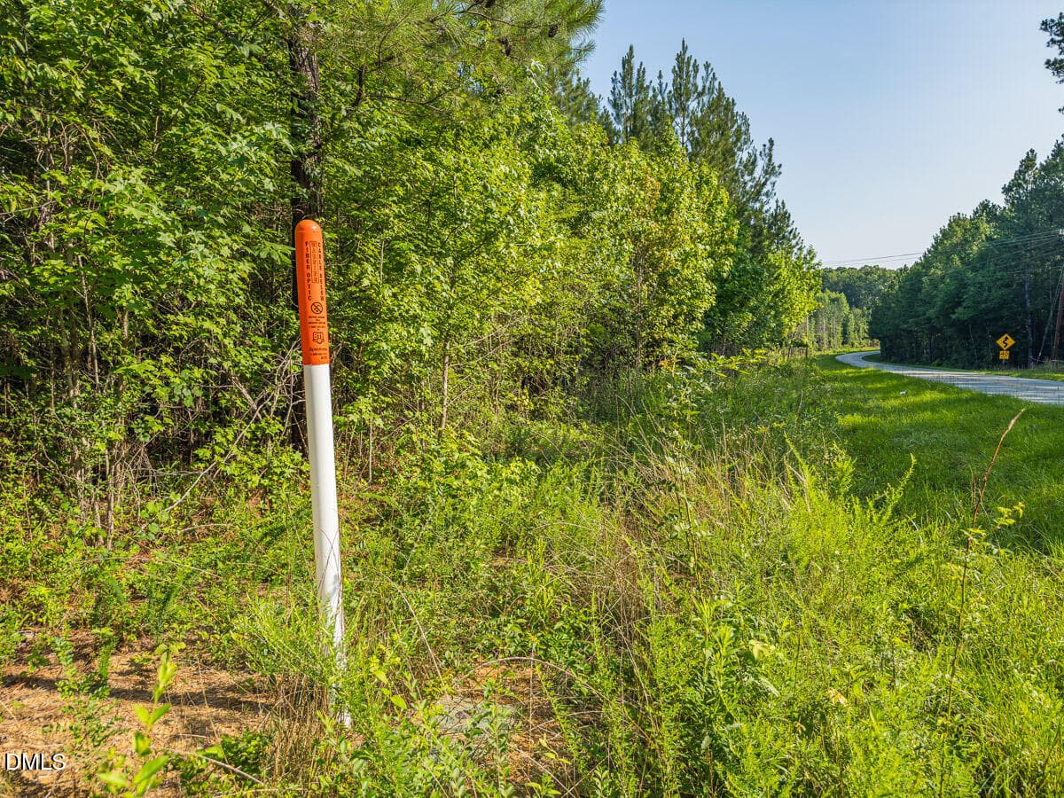 Durham Co. NC 10.09-Rogers-Lot1-15 - 00 Cassam Road, Bahama, NC 27503, Bahama