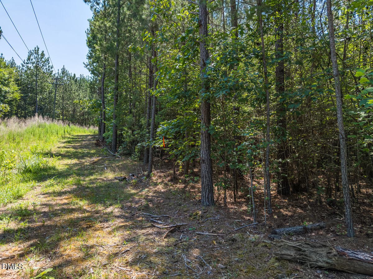 Durham Co. NC 10.09-Rogers-Lot1-16 - 00 Cassam Road, Bahama, NC 27503, Bahama