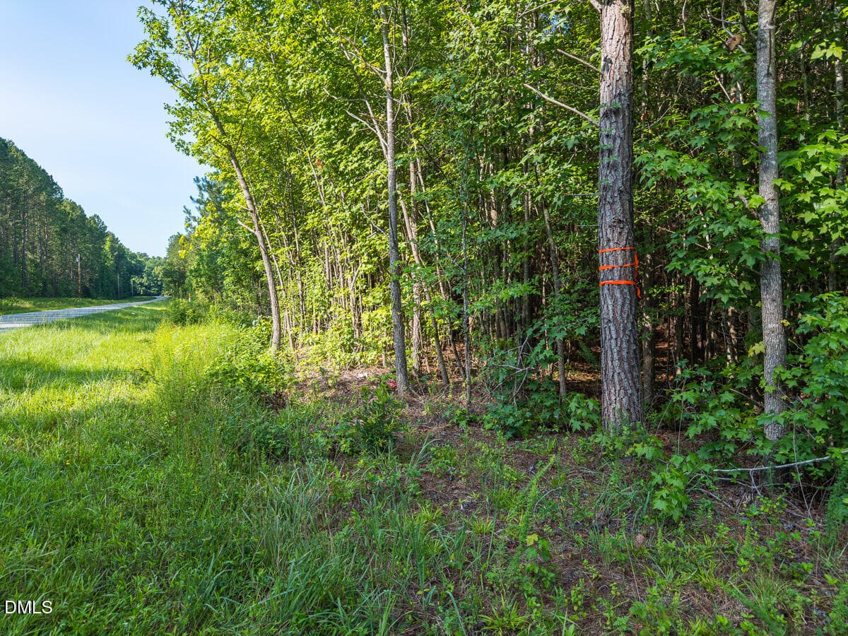 Durham Co. NC 10.09-Rogers-Lot1-33 - 00 Cassam Road, Bahama, NC 27503, Bahama