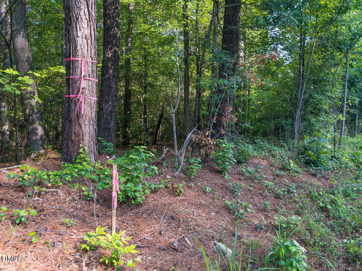 Durham Co. NC 10.09-Rogers-Lot1-35 - 00 Cassam Road, Bahama, NC 27503, Bahama