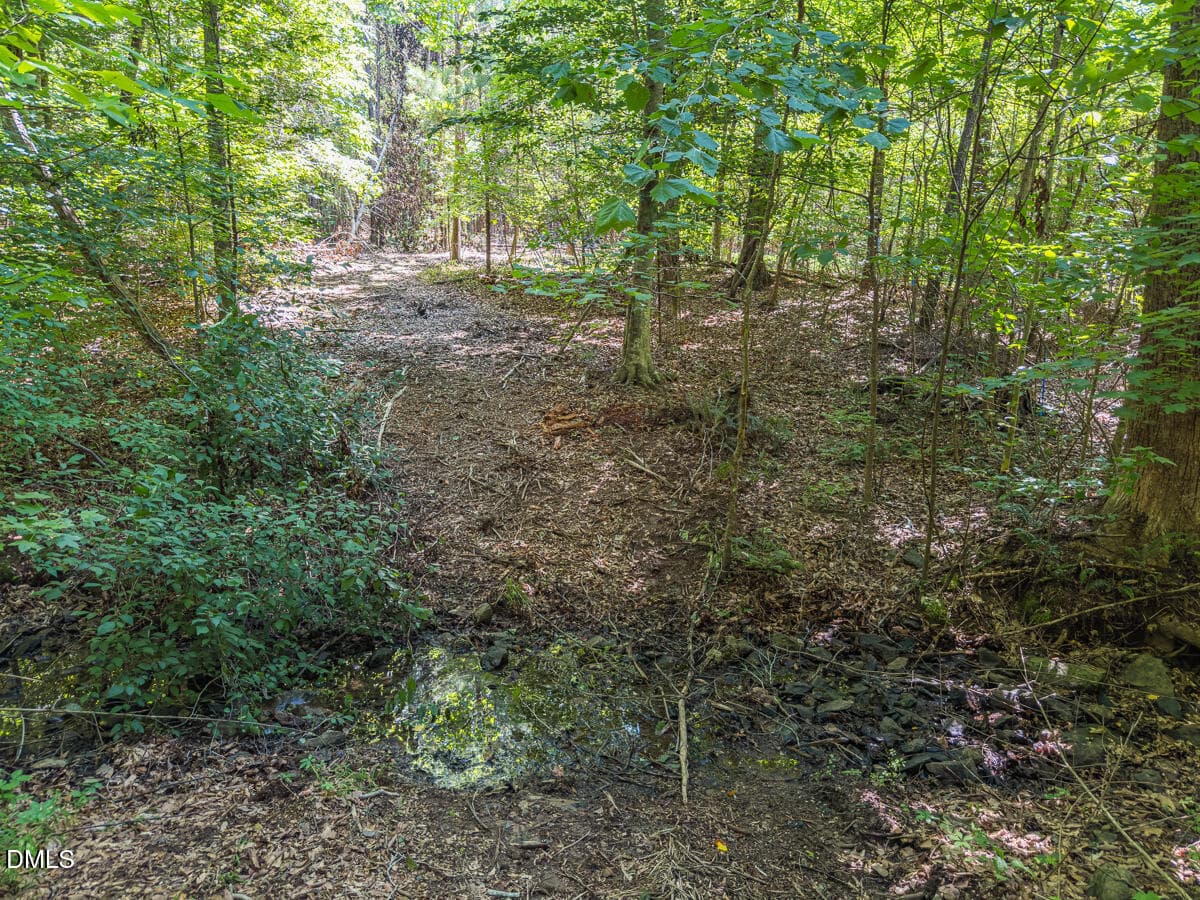 Durham Co. NC 21.73-Rogers-Lot2-012 - 00 Cassam Road, Bahama, NC 27503, Bahama