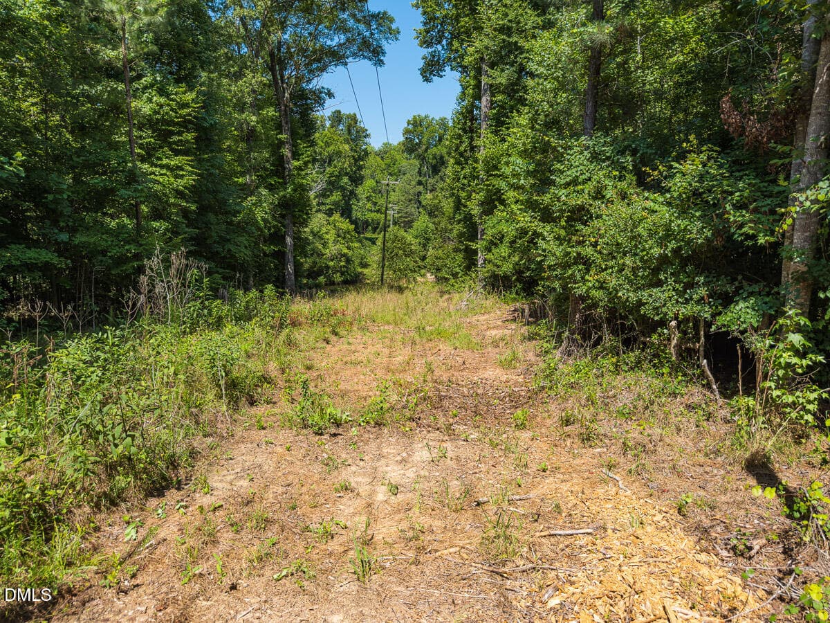 Durham Co. NC 21.73-Rogers-Lot2-020 - 00 Cassam Road, Bahama, NC 27503, Bahama