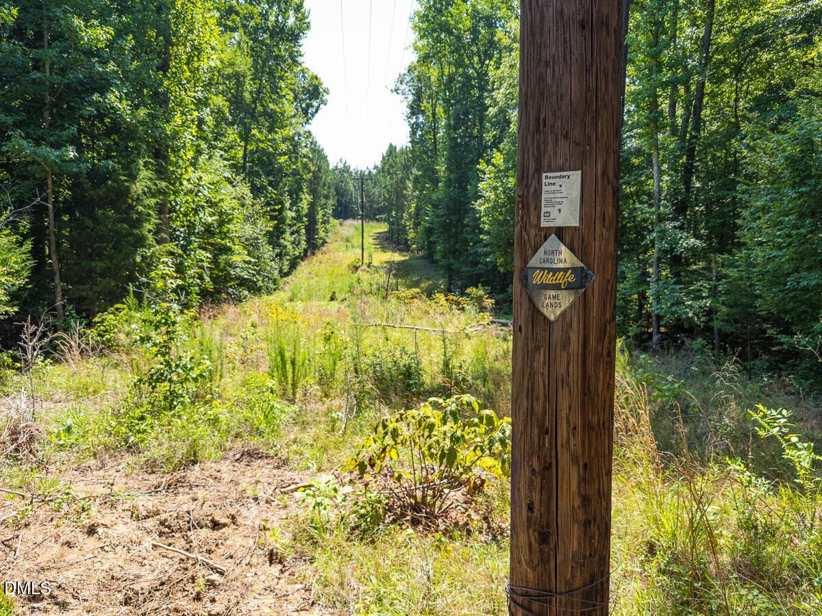 Durham Co. NC 21.73-Rogers-Lot2-028 - 00 Cassam Road, Bahama, NC 27503, Bahama