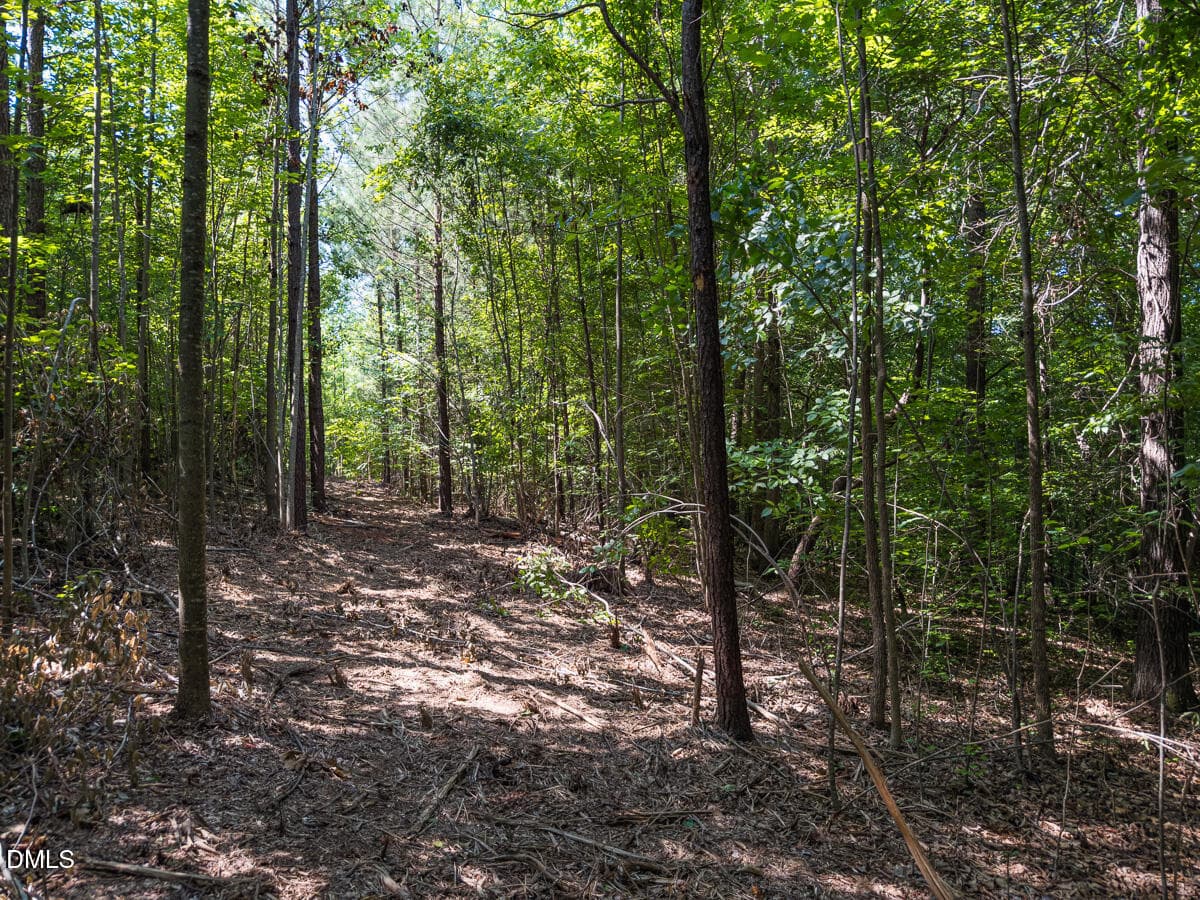 Durham Co. NC 21.73-Rogers-Lot2-033 - 00 Cassam Road, Bahama, NC 27503, Bahama