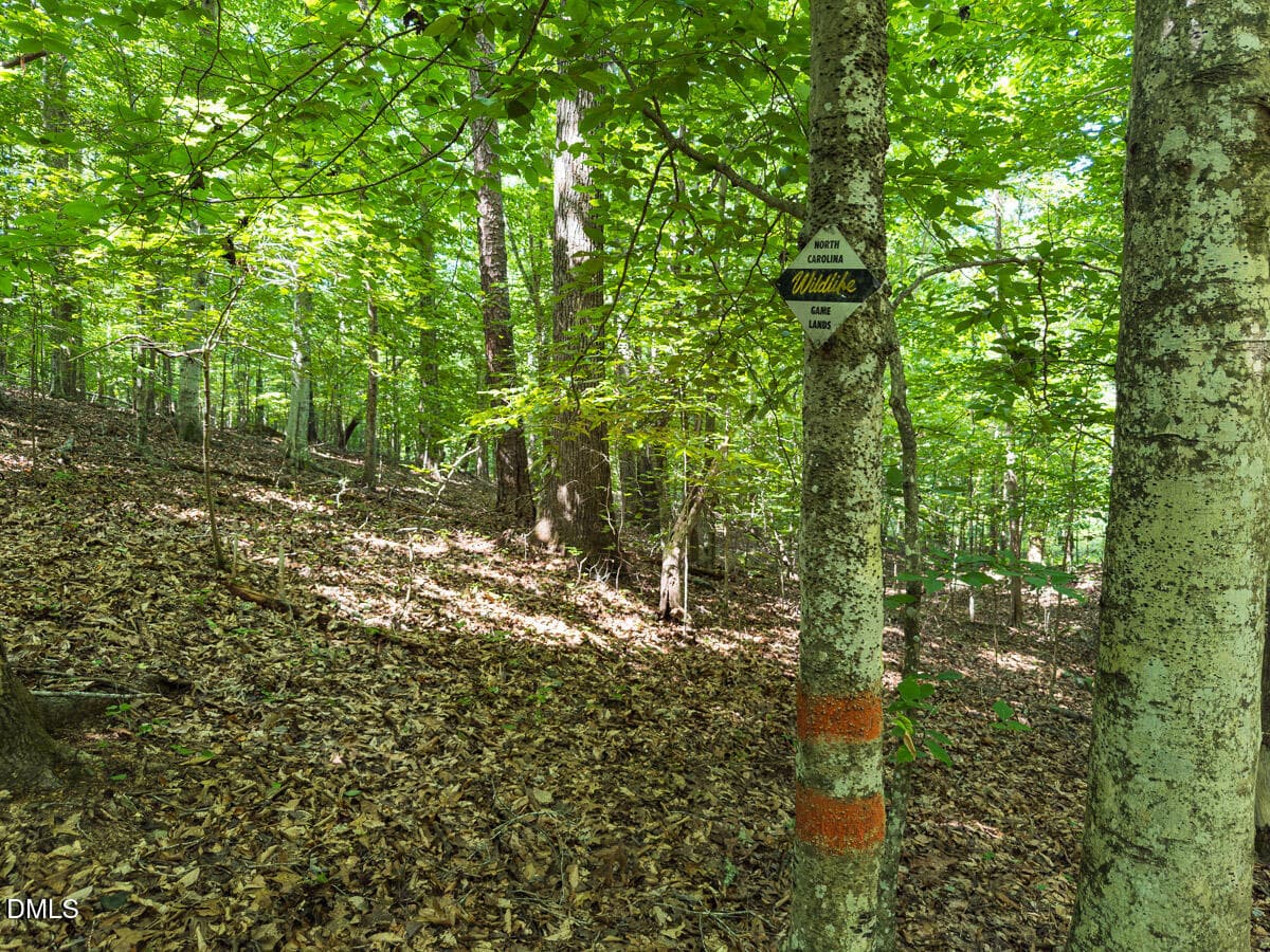 Durham Co. NC 21.73-Rogers-Lot2-038 - 00 Cassam Road, Bahama, NC 27503, Bahama