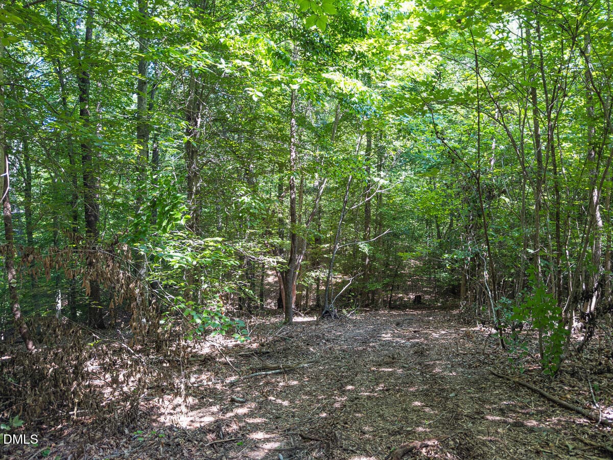 Durham Co. NC 21.73-Rogers-Lot2-046 - 00 Cassam Road, Bahama, NC 27503, Bahama