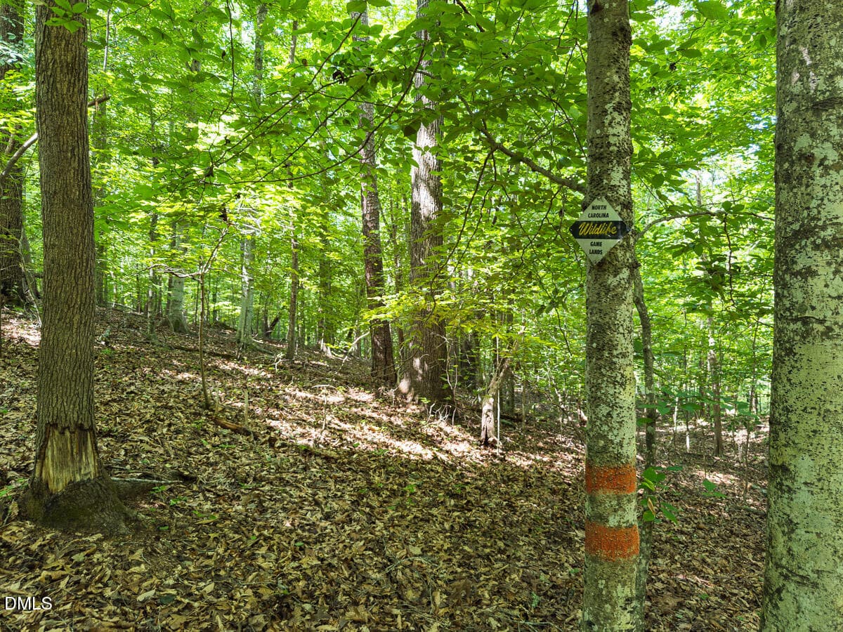 Durham Co. NC 32.68-Rogers-Lot3-005 - 00 Cassam Road, Bahama, NC 27503, Bahama