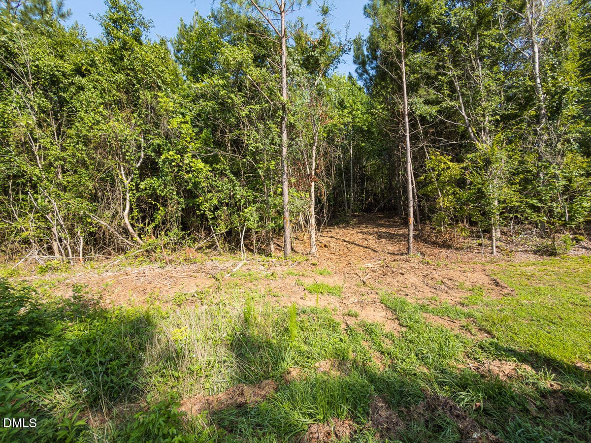 Durham Co. NC 32.68-Rogers-Lot3-011 - 00 Cassam Road, Bahama, NC 27503, Bahama